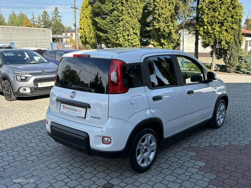 Fiat Panda 6