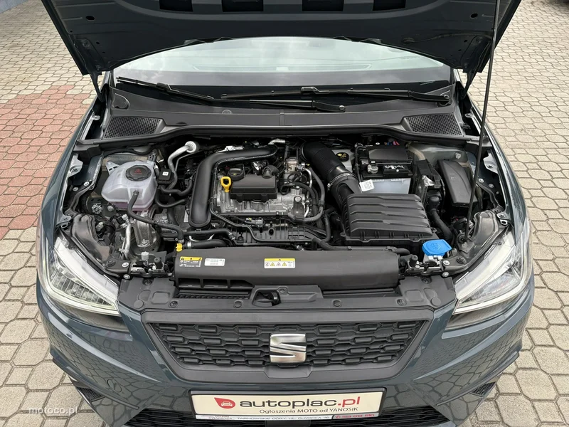 Seat Ibiza 31