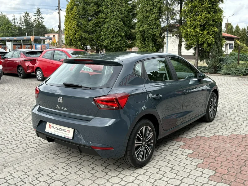Seat Ibiza 6