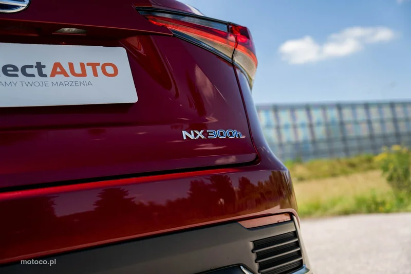 Lexus NX 16