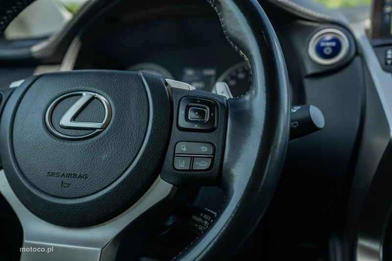 Lexus NX 21