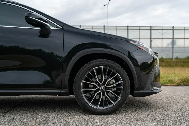 Lexus NX 12