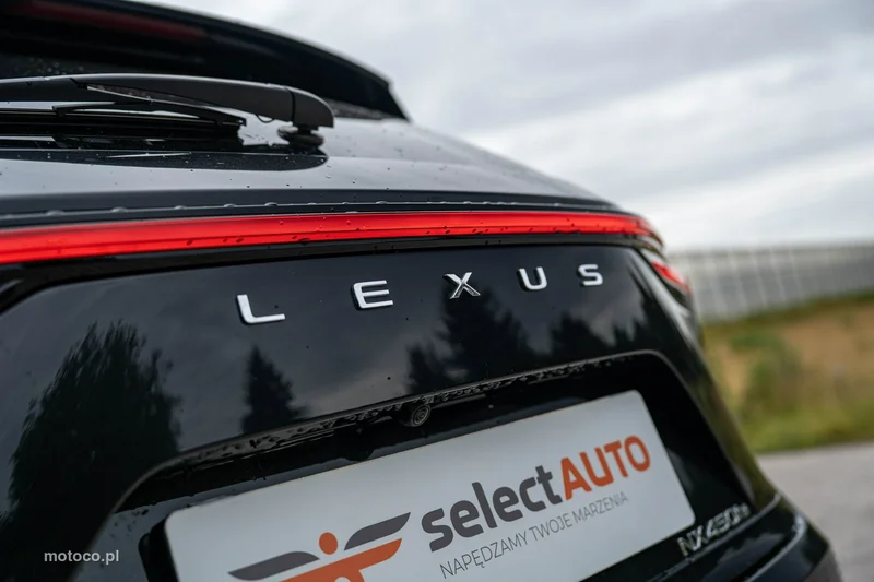 Lexus NX 15