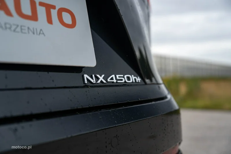 Lexus NX 16