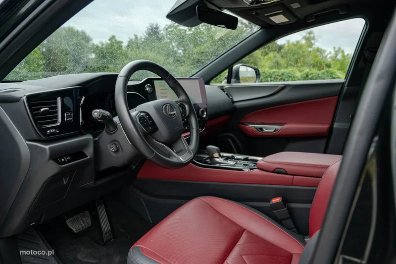 Lexus NX 17