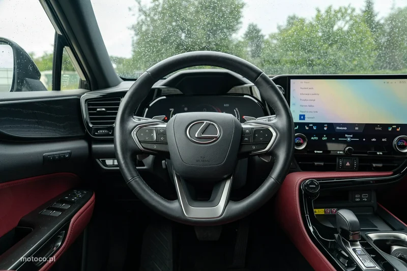 Lexus NX 19