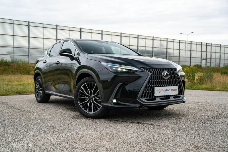 Lexus NX 3