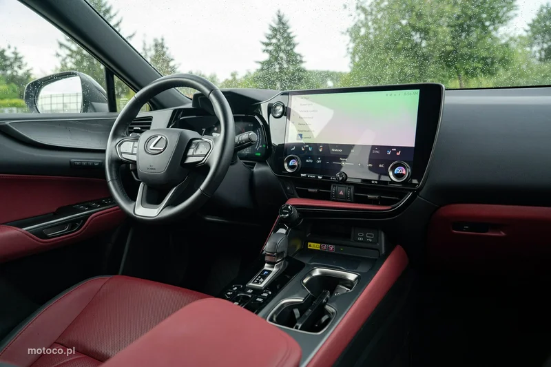 Lexus NX 21