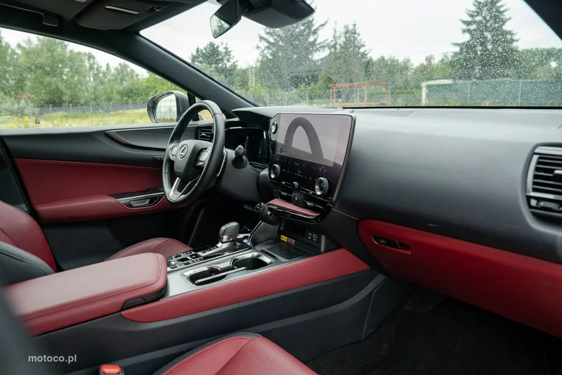 Lexus NX 22