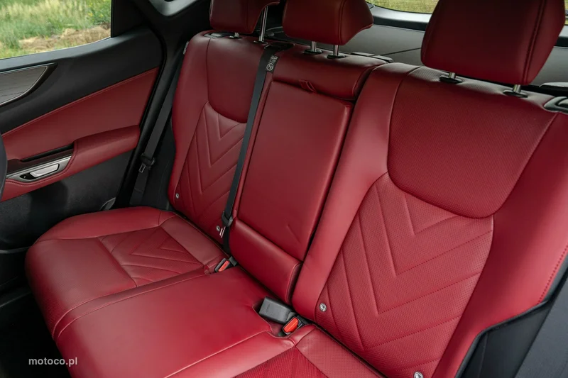 Lexus NX 24