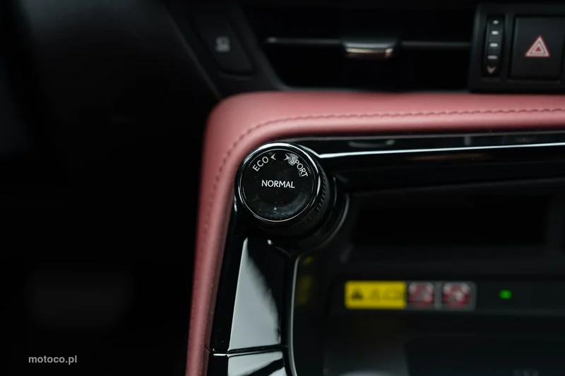 Lexus NX 28