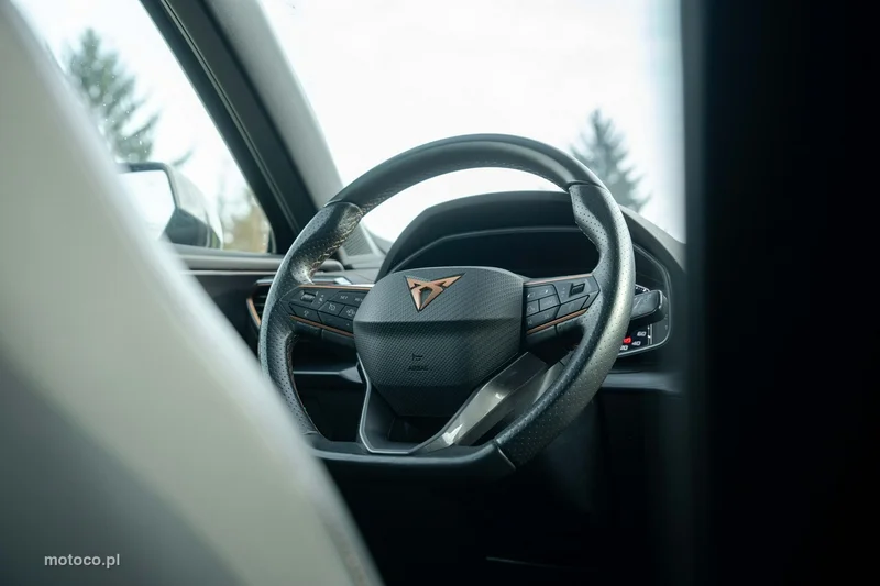 Cupra Formentor 16