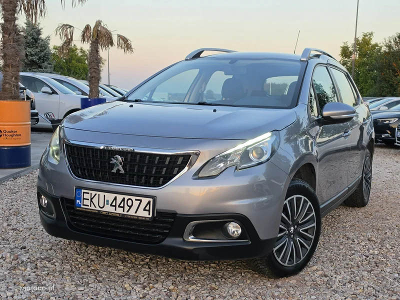 Peugeot 2008 20