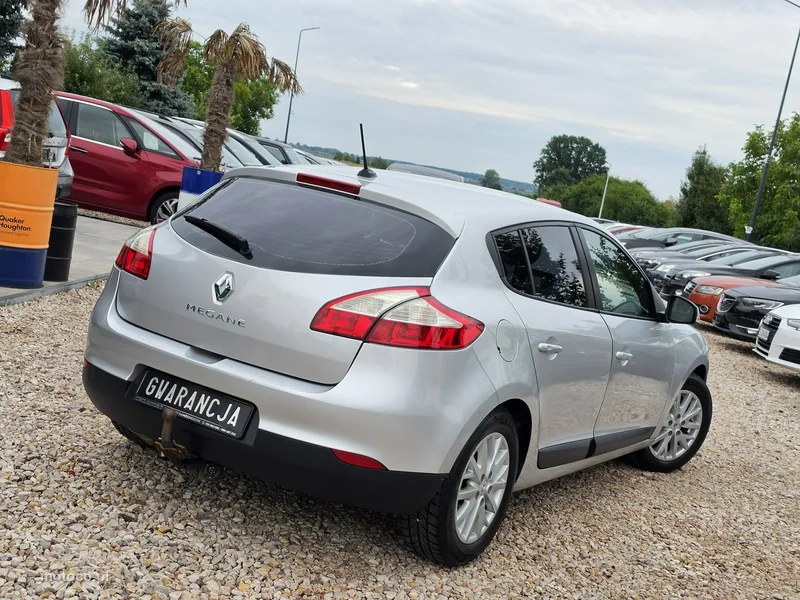 Renault Megane III 25