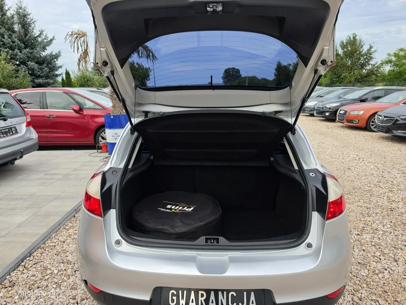Renault Megane III 38