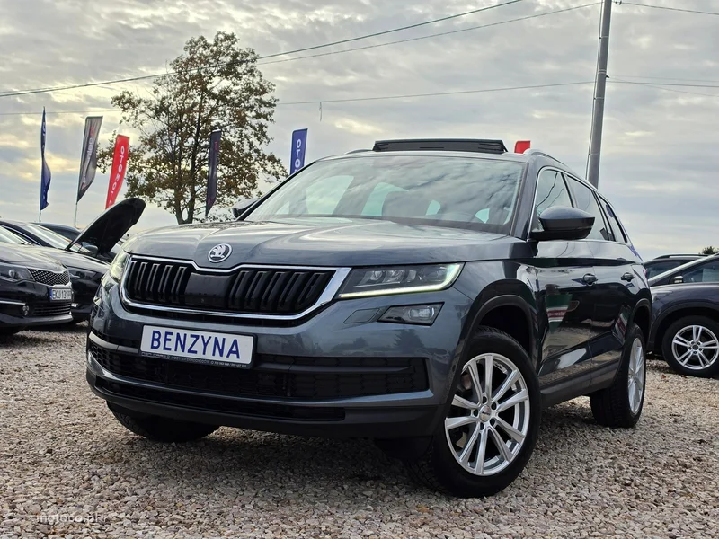 Skoda Kodiaq I 17