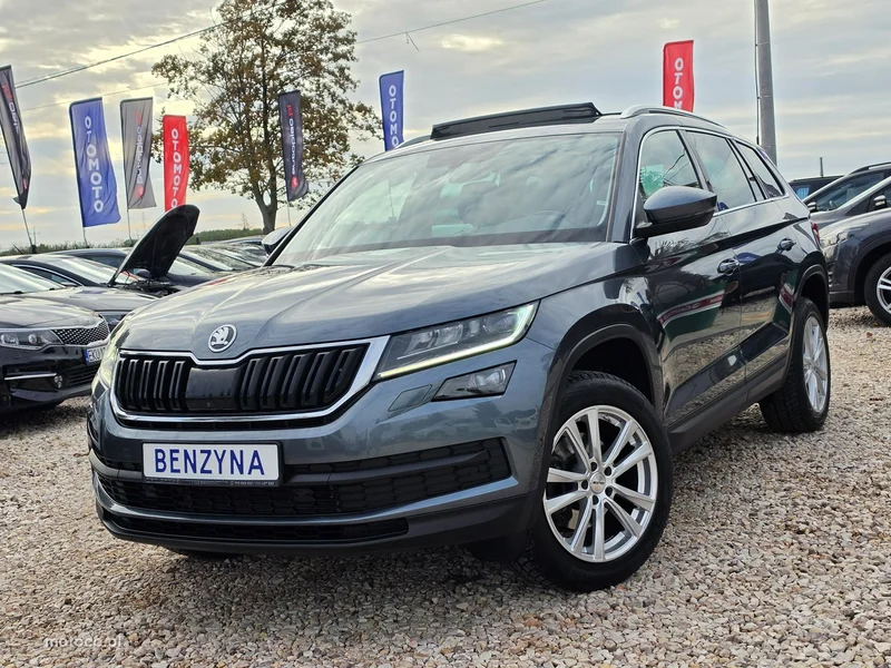 Skoda Kodiaq I 18