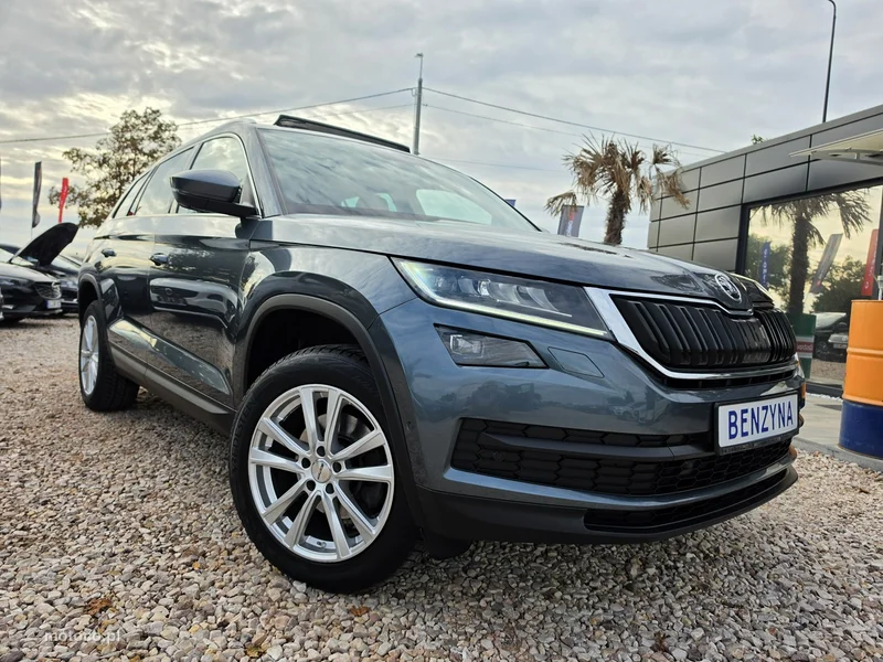 Skoda Kodiaq I 3