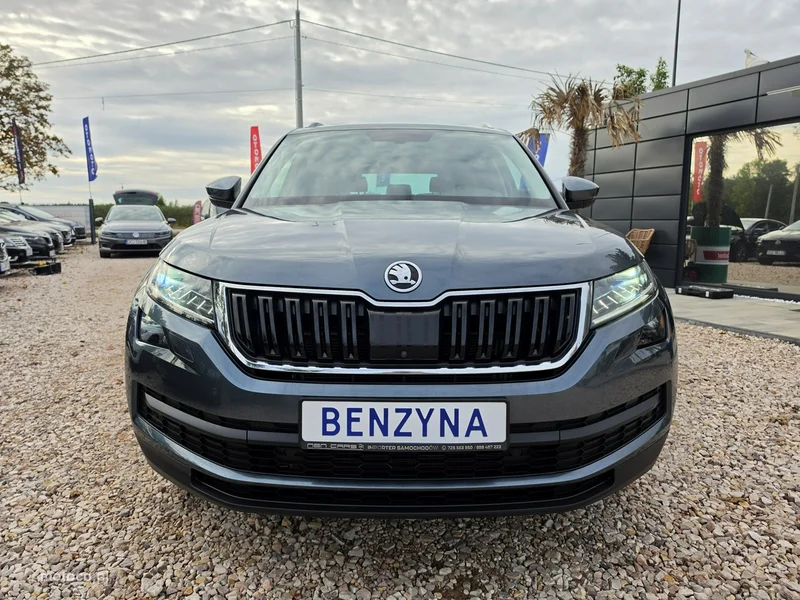 Skoda Kodiaq I 6