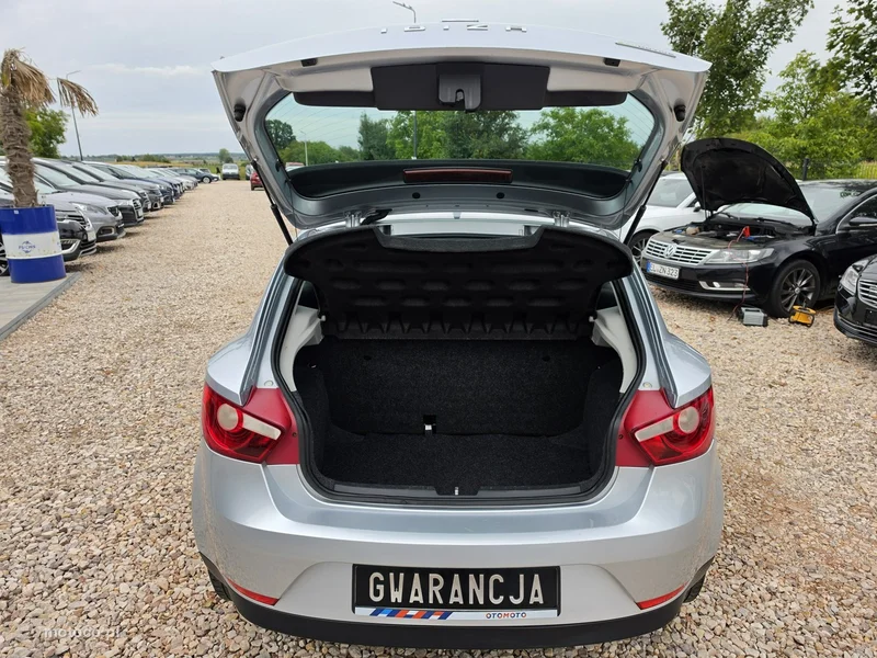 Seat Ibiza 36