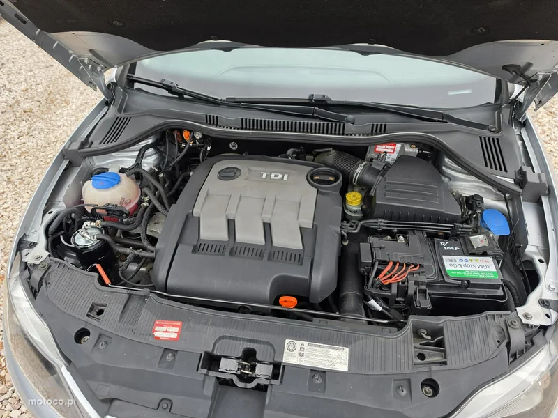 Seat Ibiza 37