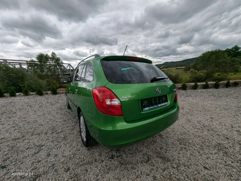 Skoda Fabia II 9
