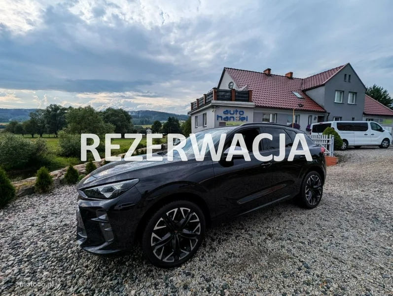 Cupra Terramar