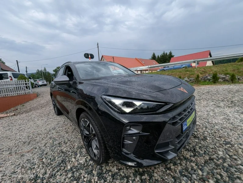 Cupra Terramar 2
