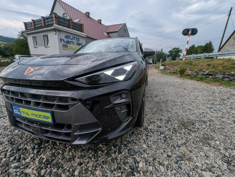 Cupra Terramar 16