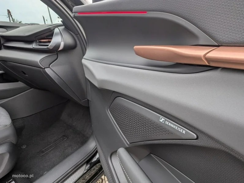 Cupra Terramar 17