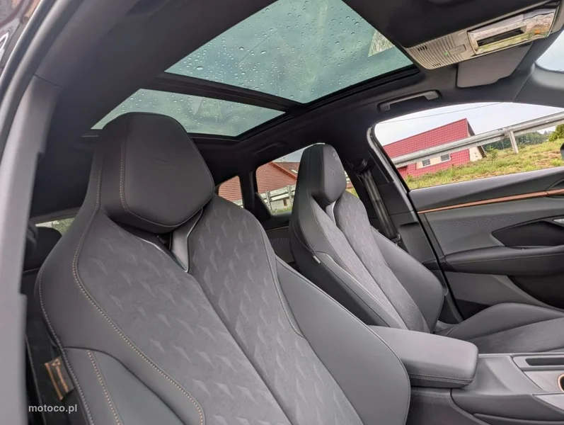Cupra Terramar 19