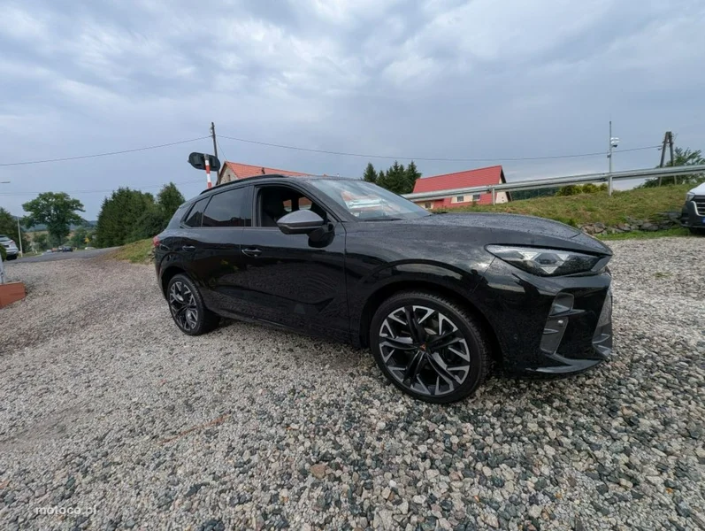 Cupra Terramar 3