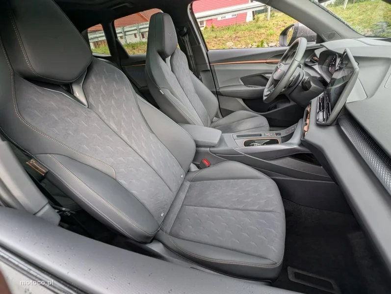 Cupra Terramar 4