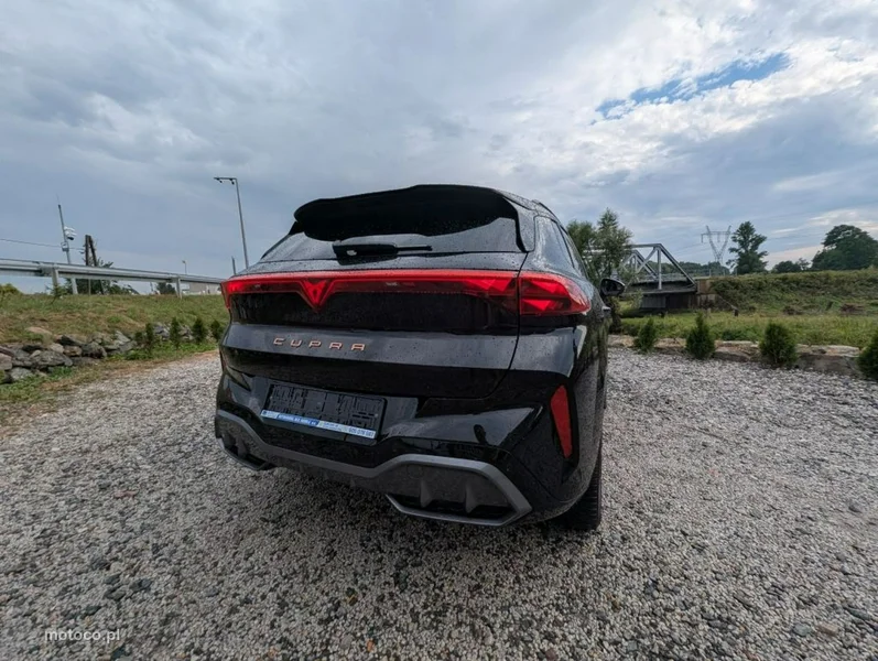 Cupra Terramar 7