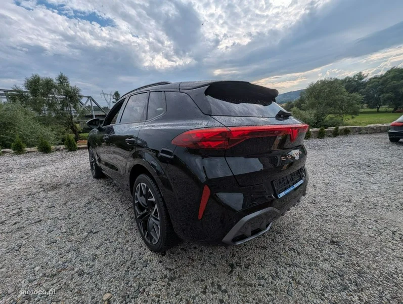 Cupra Terramar 9