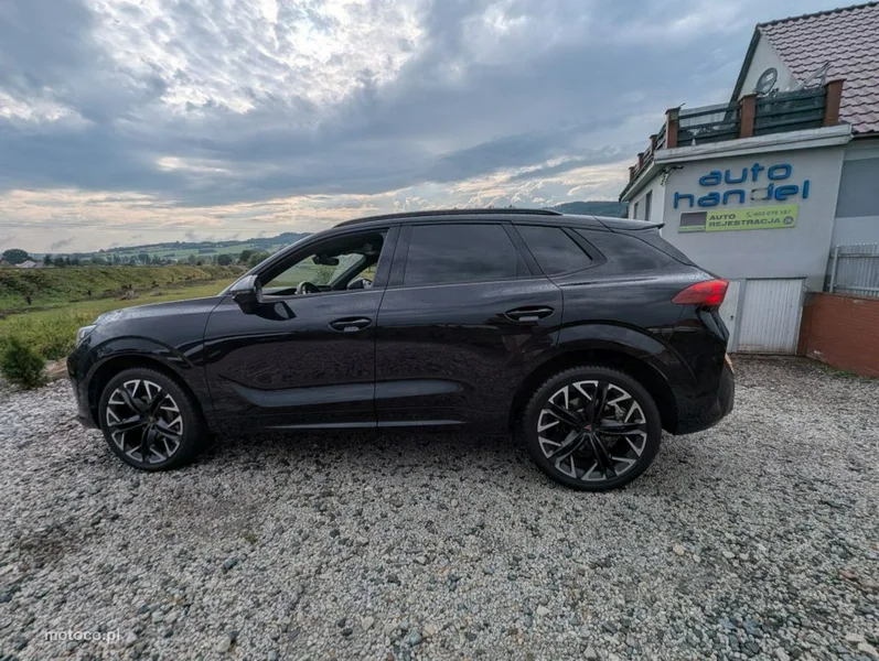 Cupra Terramar 10