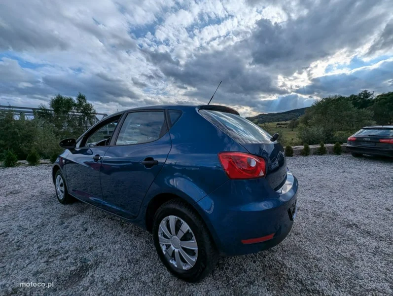 Seat Ibiza 10