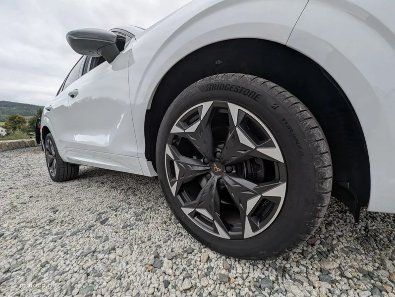 Cupra Terramar 13
