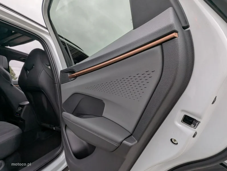 Cupra Terramar 15