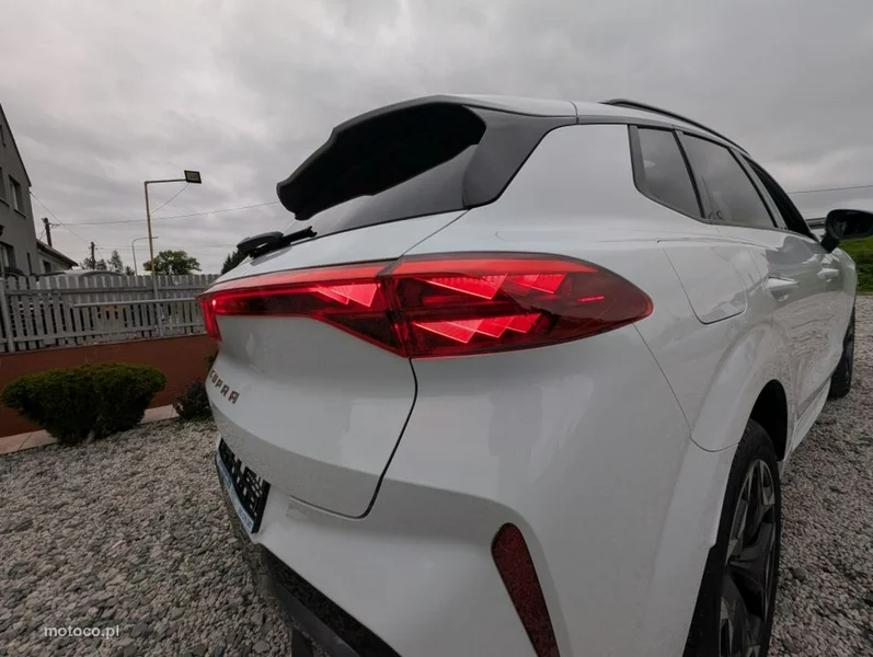 Cupra Terramar 19