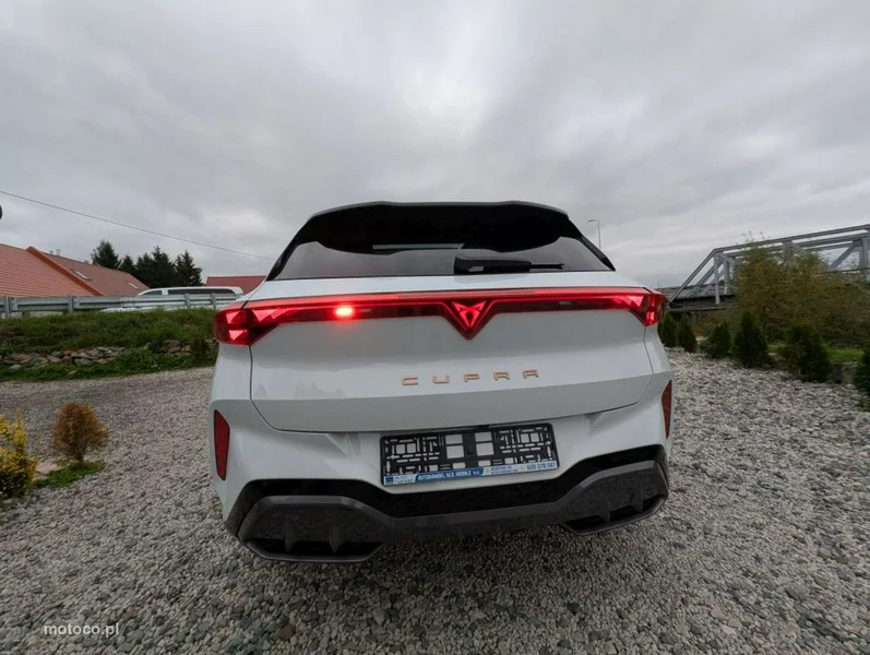 Cupra Terramar 20