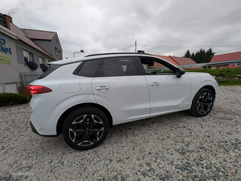 Cupra Terramar 3
