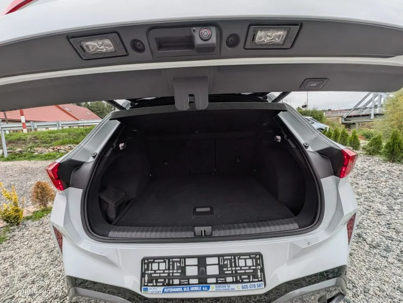 Cupra Terramar 21