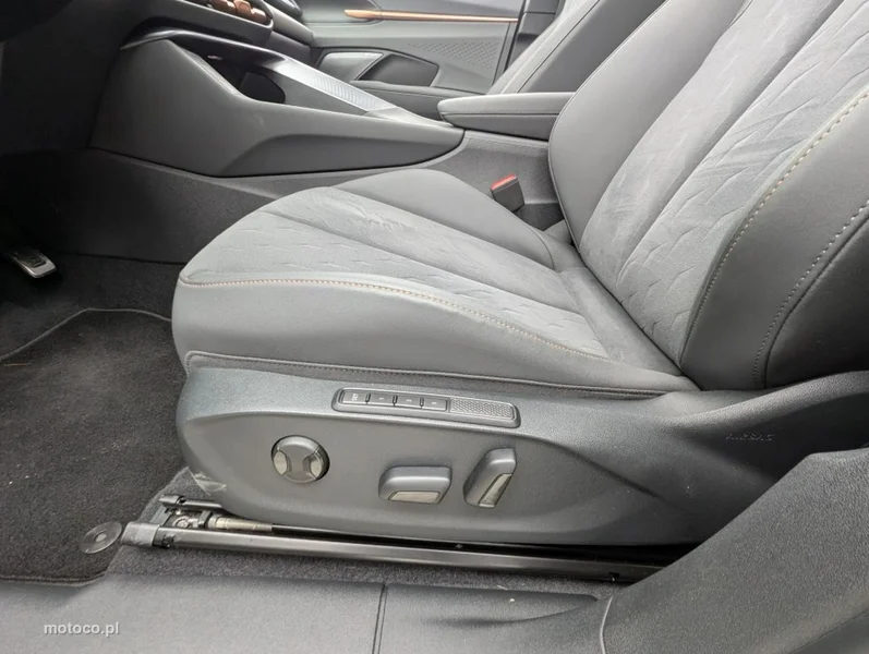 Cupra Terramar 22