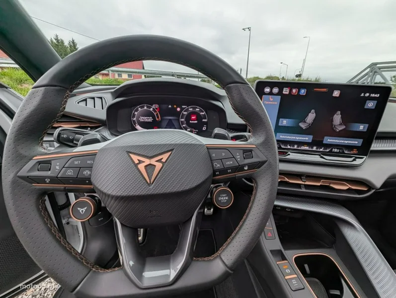 Cupra Terramar 29