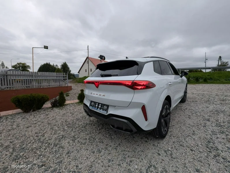 Cupra Terramar 6