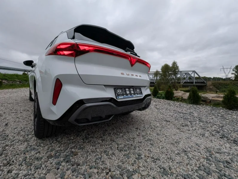 Cupra Terramar 7