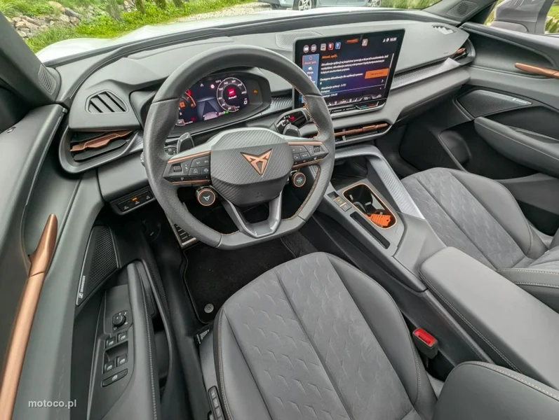 Cupra Terramar 9