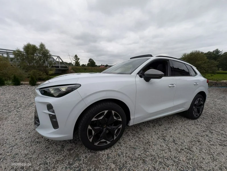 Cupra Terramar 10