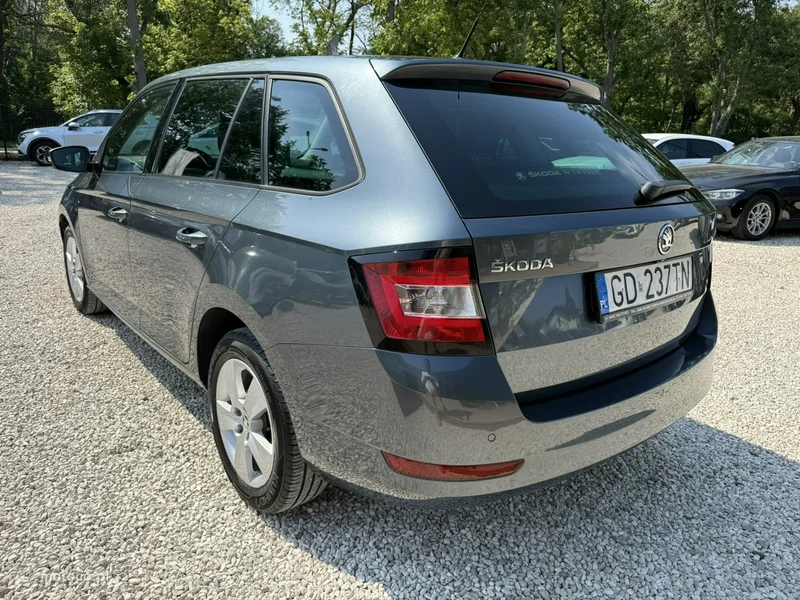 Skoda Fabia III 22